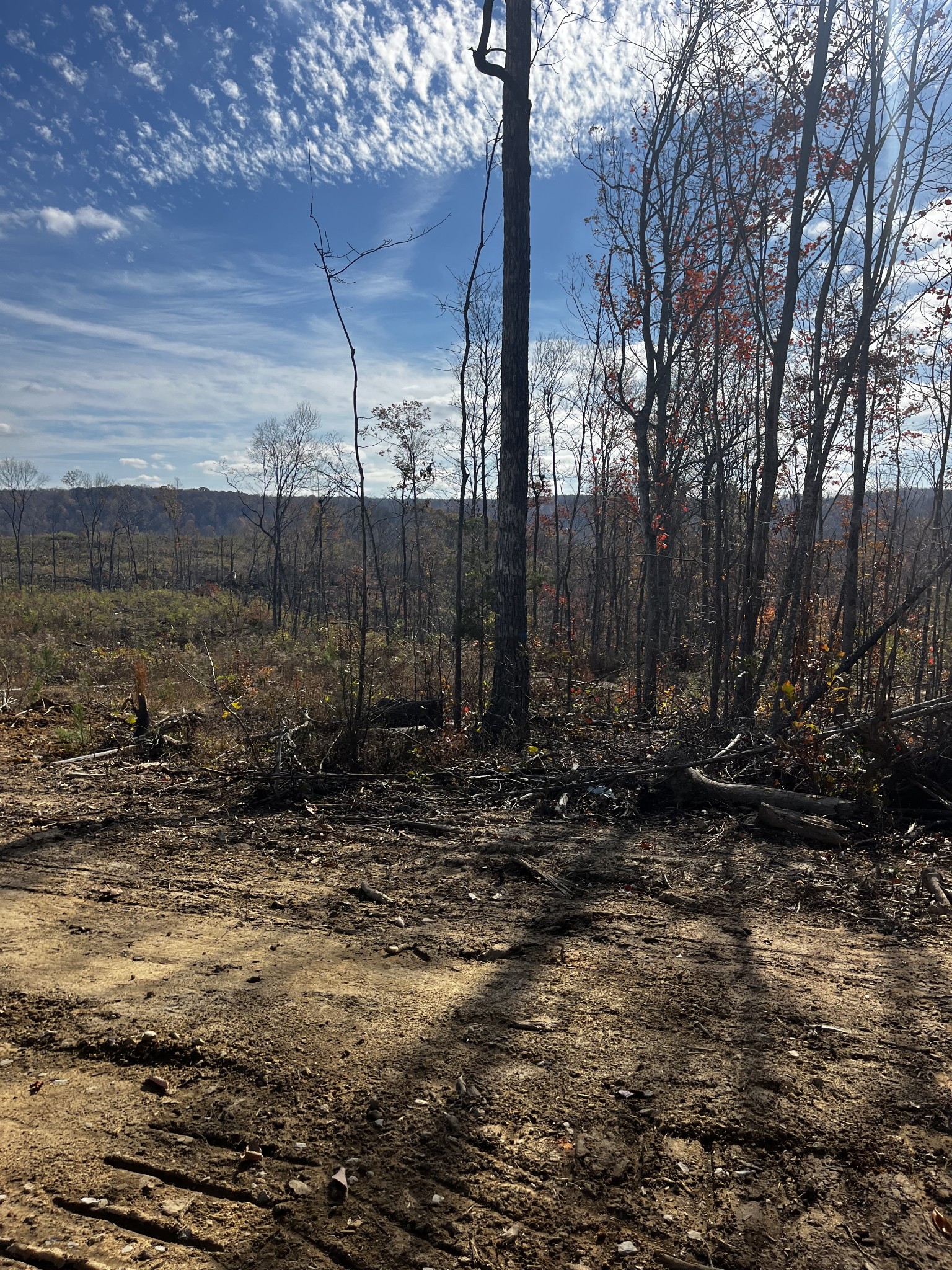 1 Northcutts Cove Road