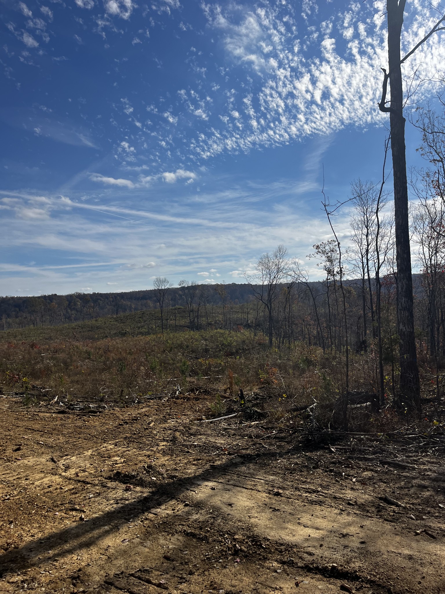 1 Northcutts Cove Road