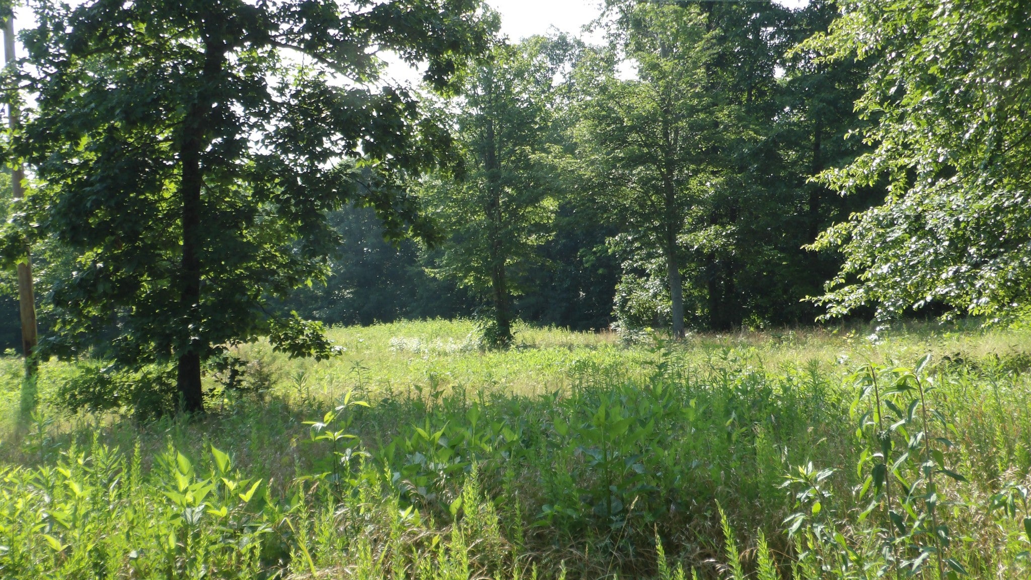580 Pleasant Cemetery Lane