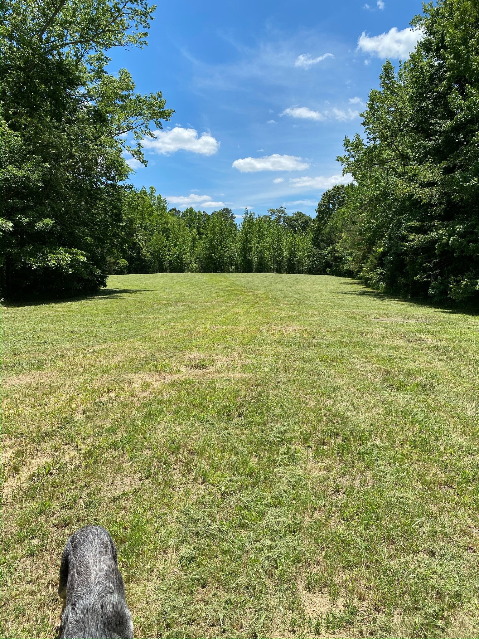 255 McBride Cemetery Rd