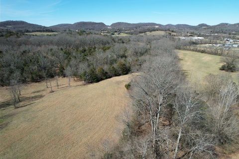 5 Cool Springs Rd Thompsons Station TN 37179