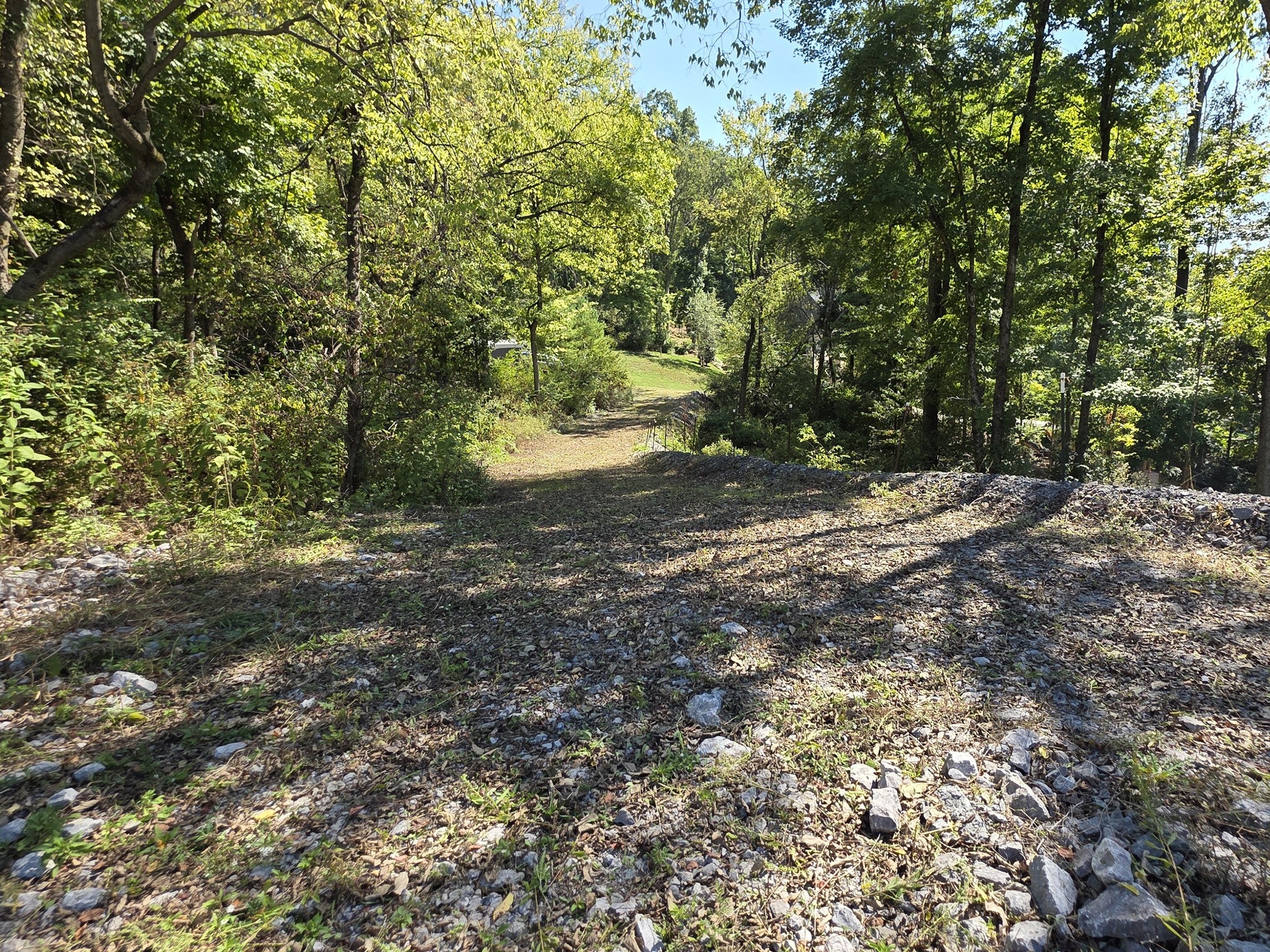 lot for sale in Brentwood, TN 37027, 1765 Woodsong Dr Gravel drive rising between trees and brush toward a clearing at the top of the rise