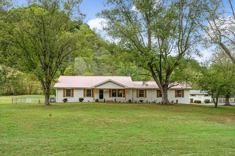 Photo of 315 Little Creek Rd, Pleasant Shade, TN 37145 (MLS # 3181564)