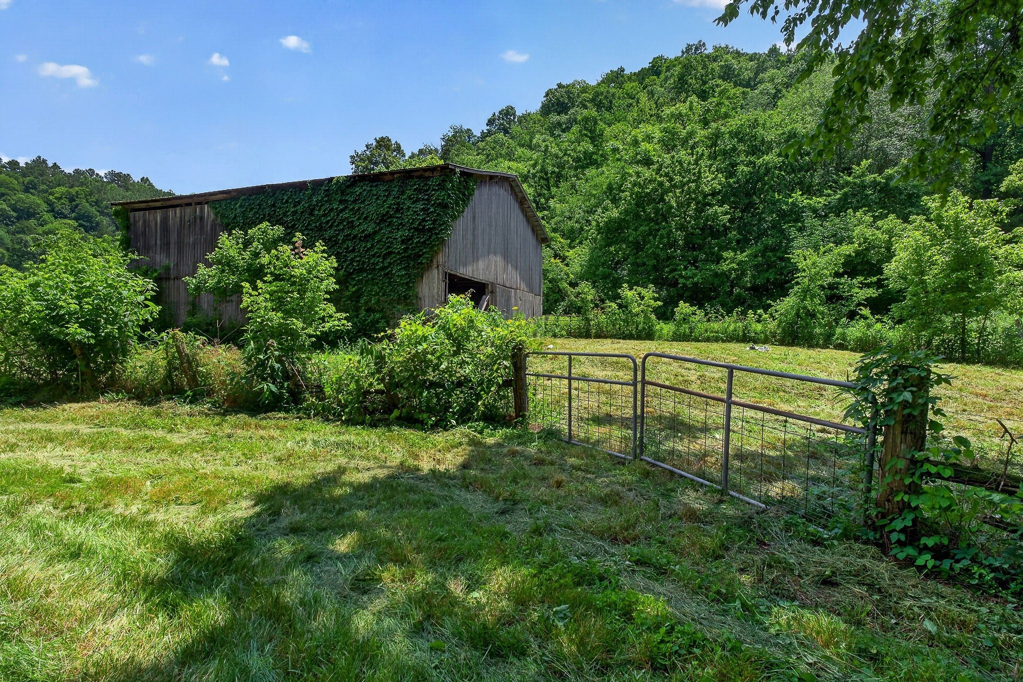 283 Hunting Creek Rd