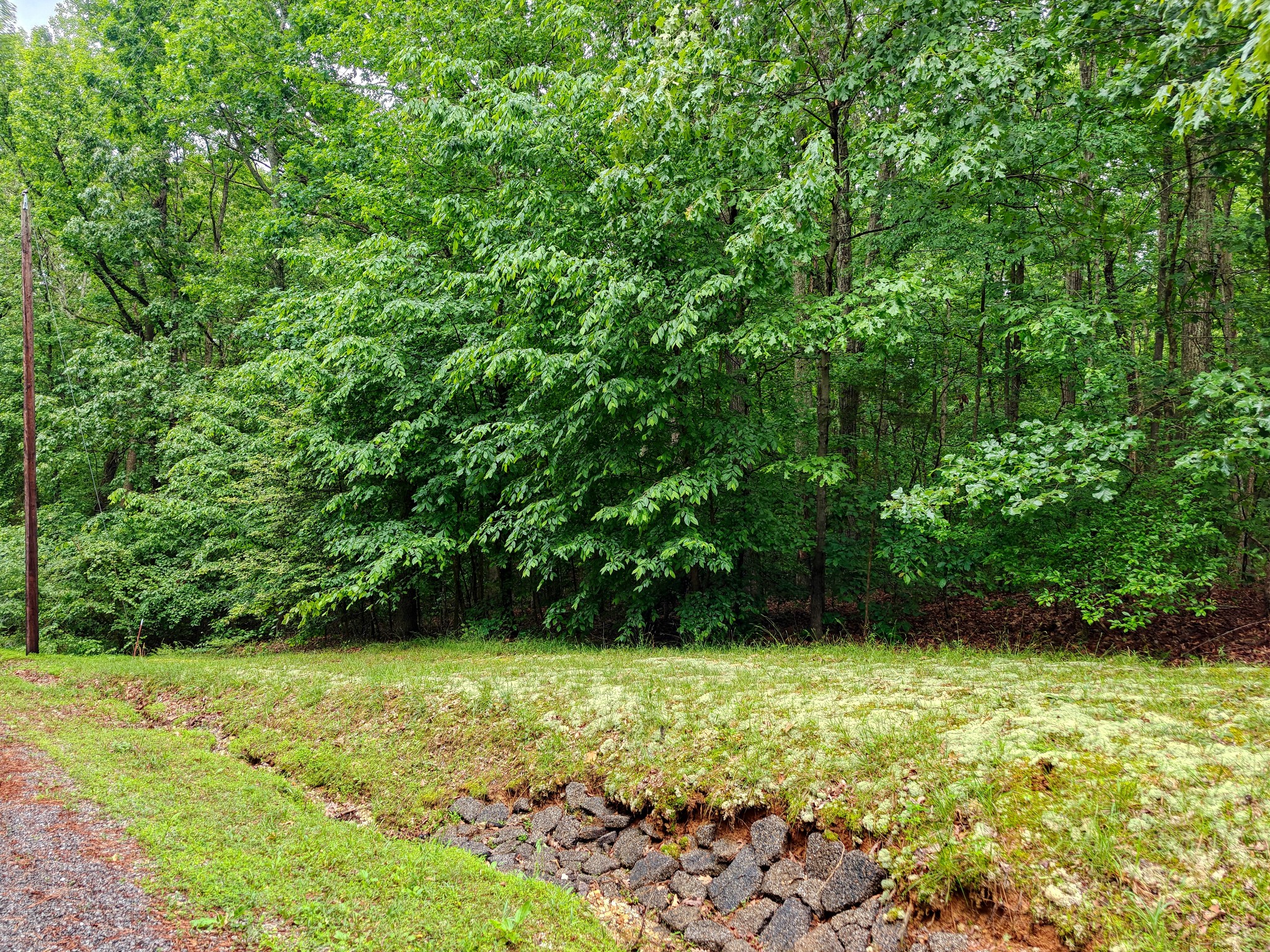 0 Summerwood Dr