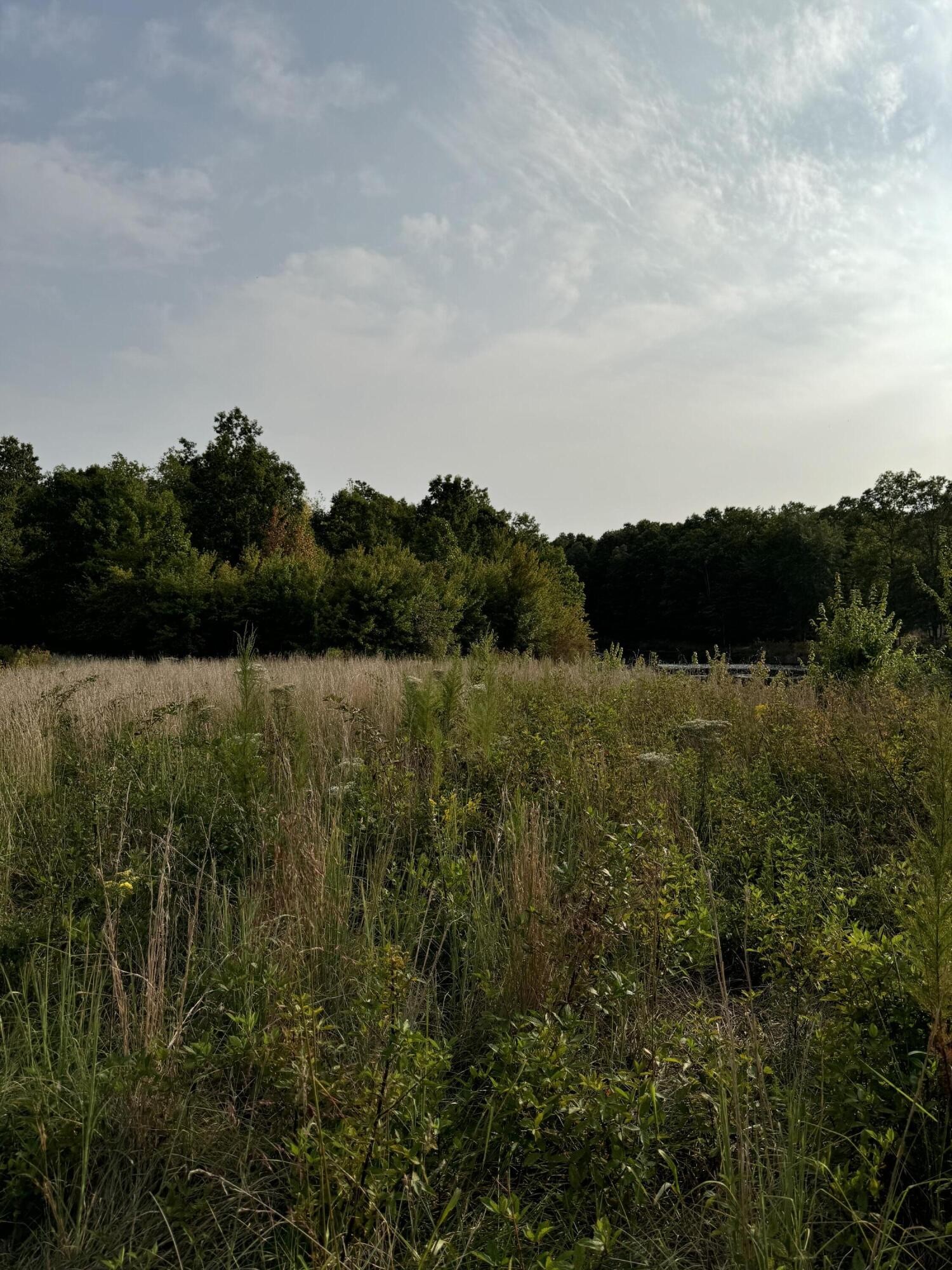 141 Camp Creek Circle