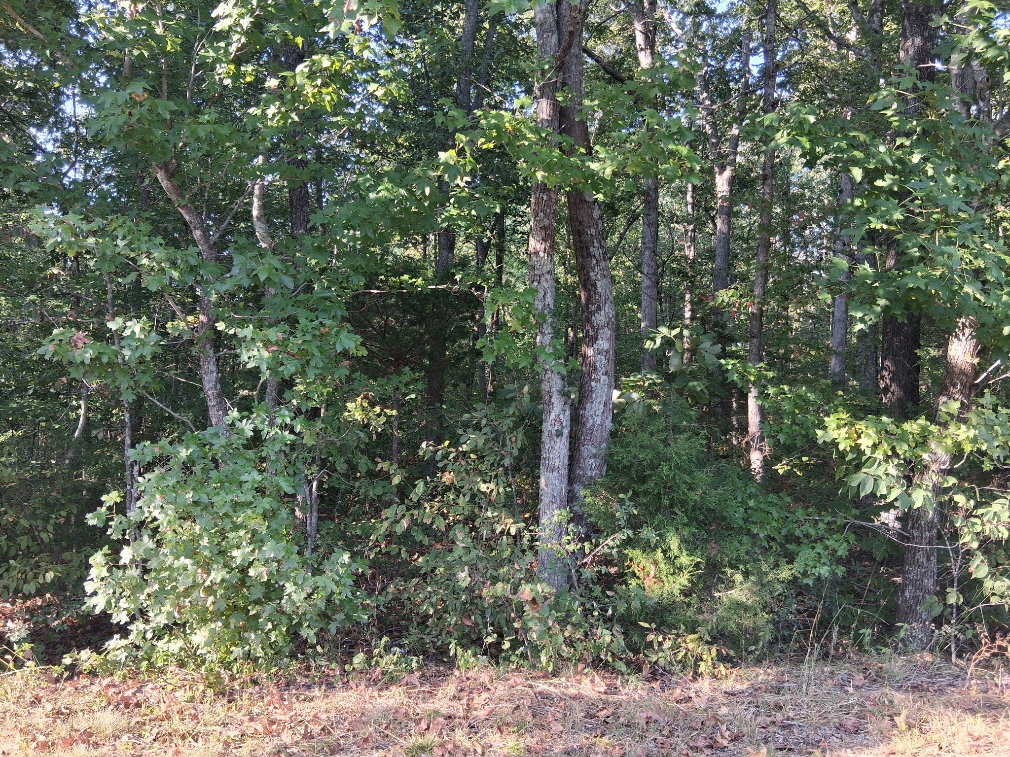 6080 Halls Creek Rd