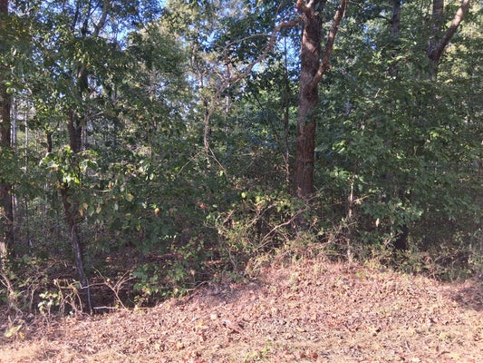 6080 HALLS CREEK RD, WAVERLY, TN 37185 - Image 9101f4b2a3a04426b43281b578bc97ae/2065016496