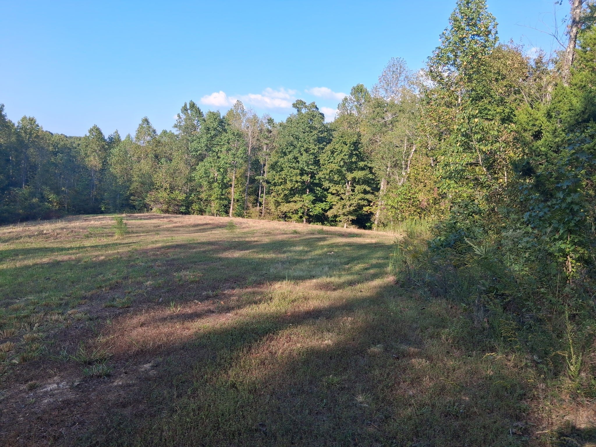 6080 Halls Creek Rd