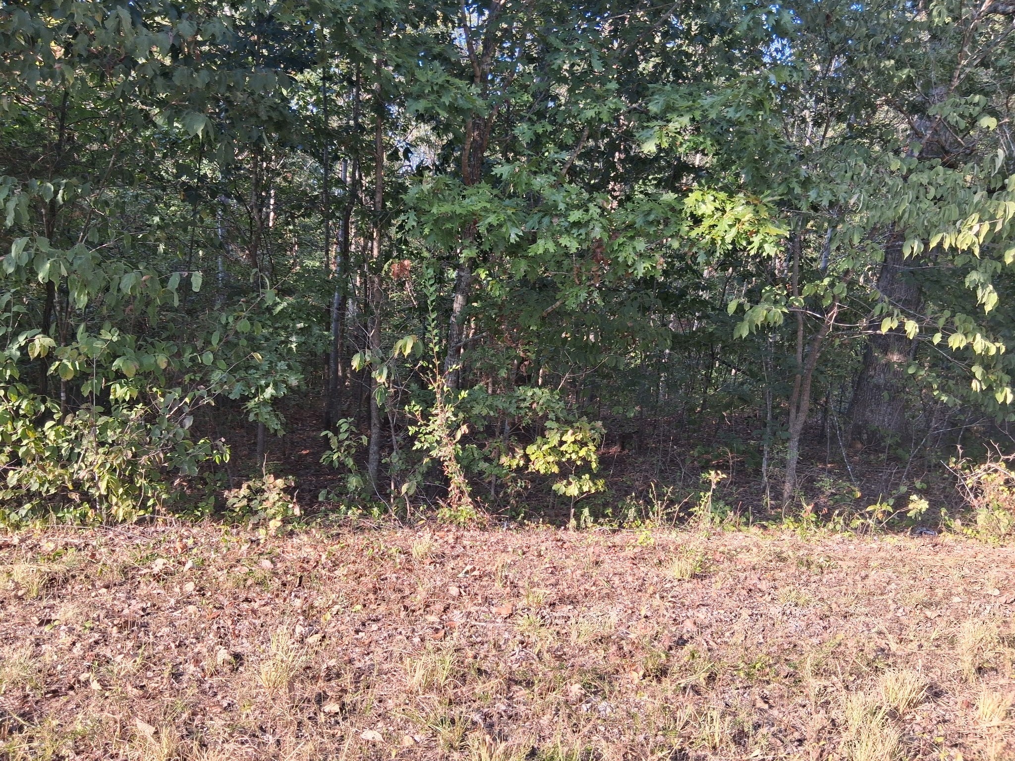 6080 Halls Creek Rd