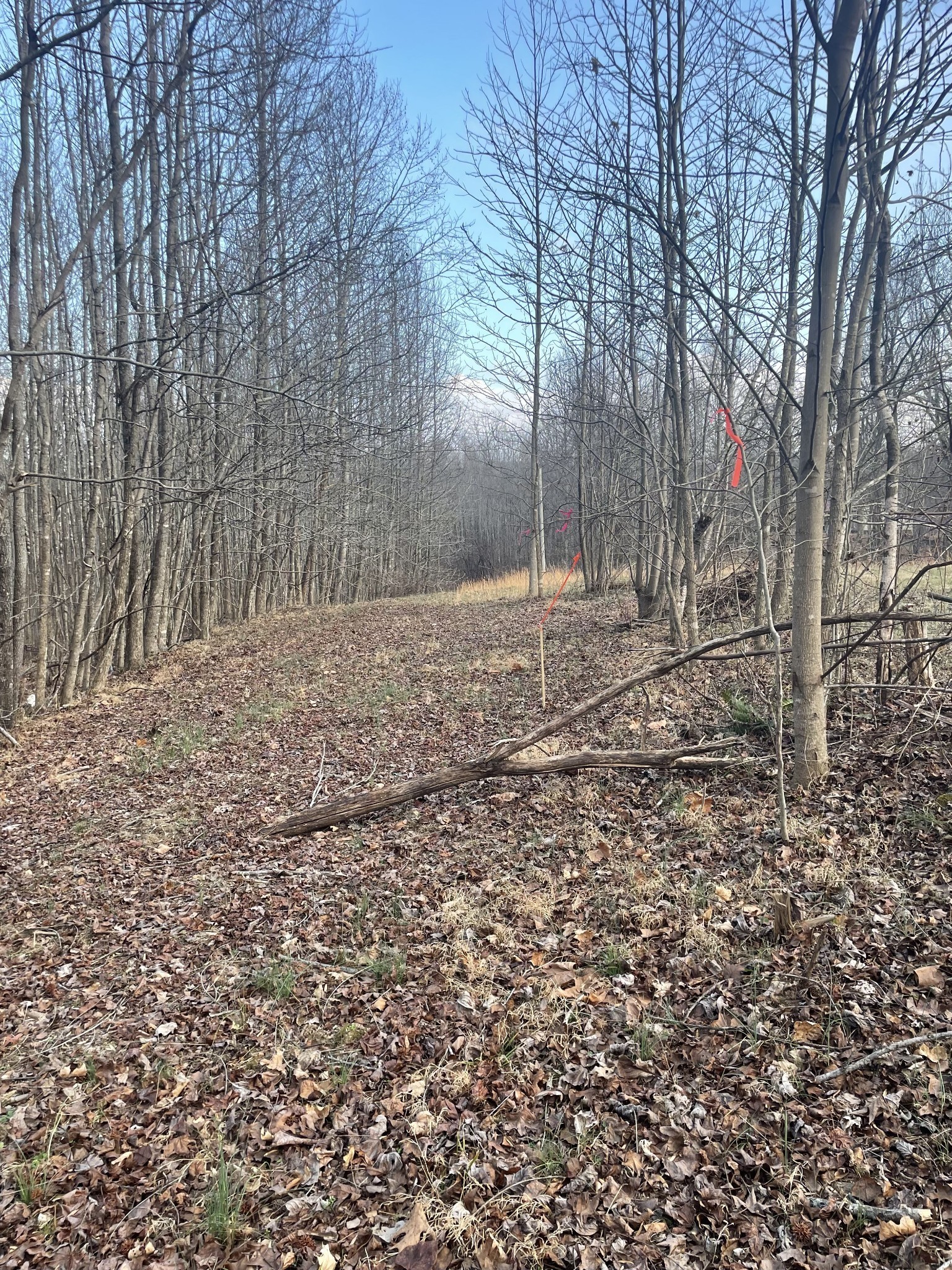 0 Sugar Tree Knob Rd