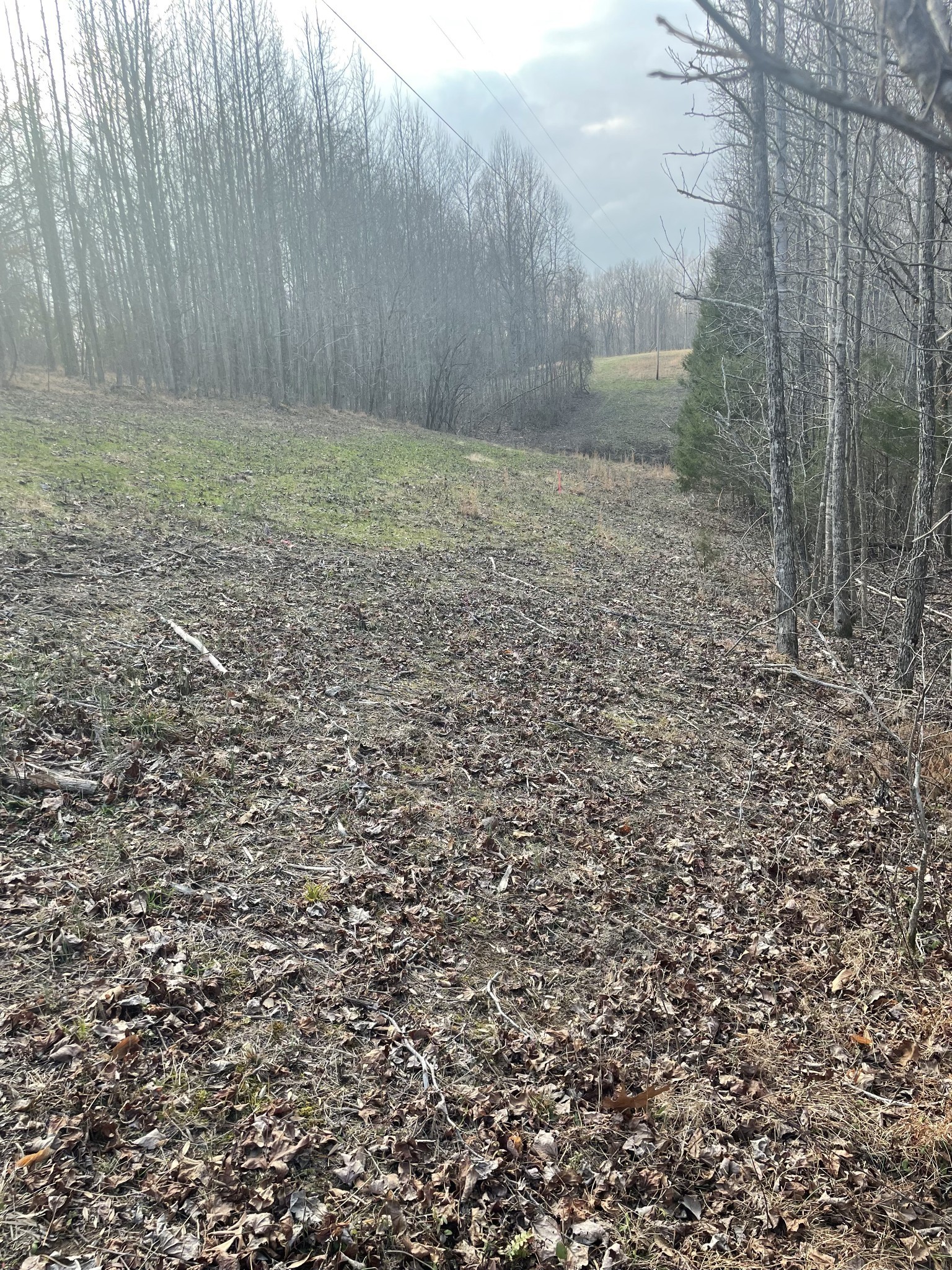 0 Sugar Tree Knob Rd