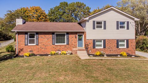 114 Orchard Valley Cir Hendersonville TN 37075