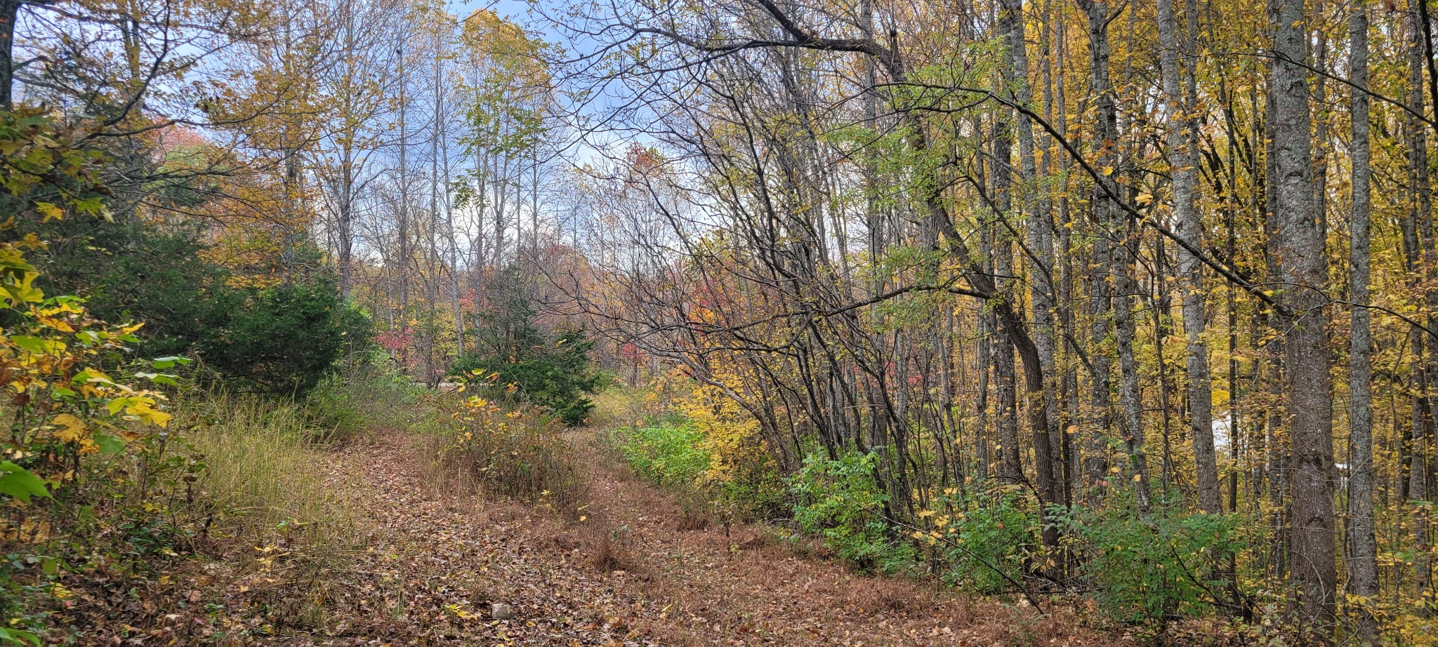 1 Sugar Ridge Rd