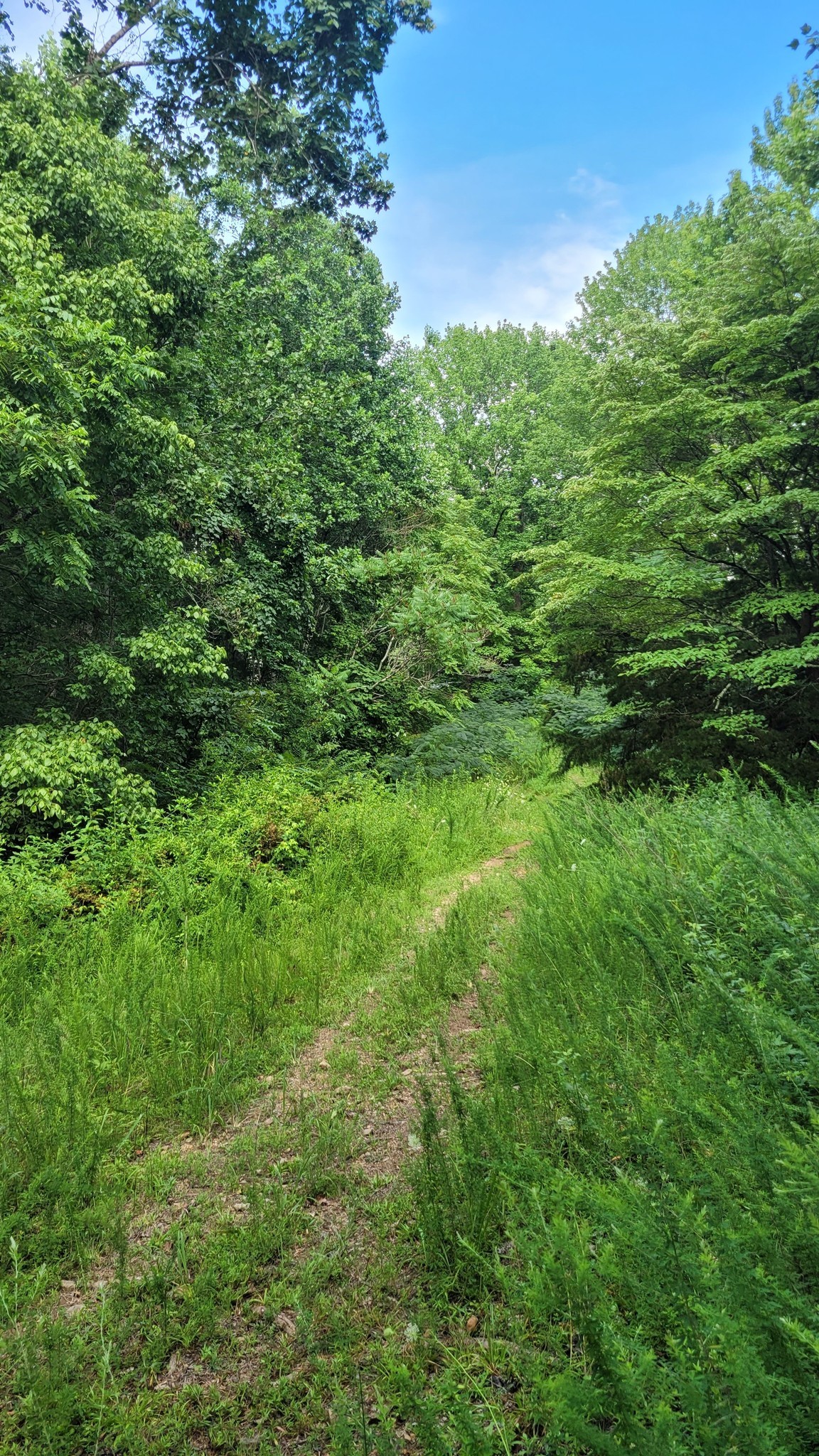 1 Sugar Ridge Rd