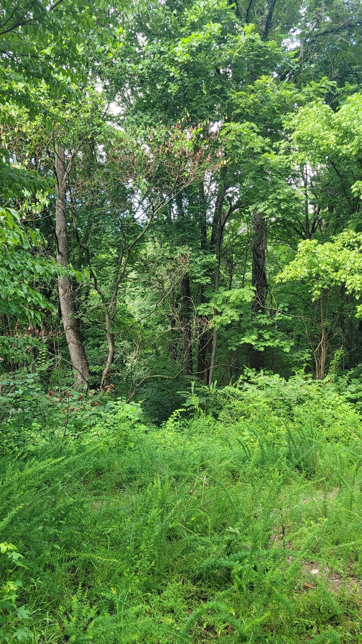 1 Sugar Ridge Rd