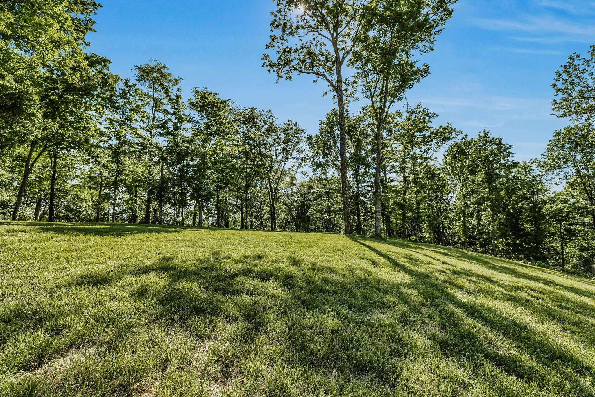 Middle Tennessee Properties 4 0 Burke Hollow Road Tract 1