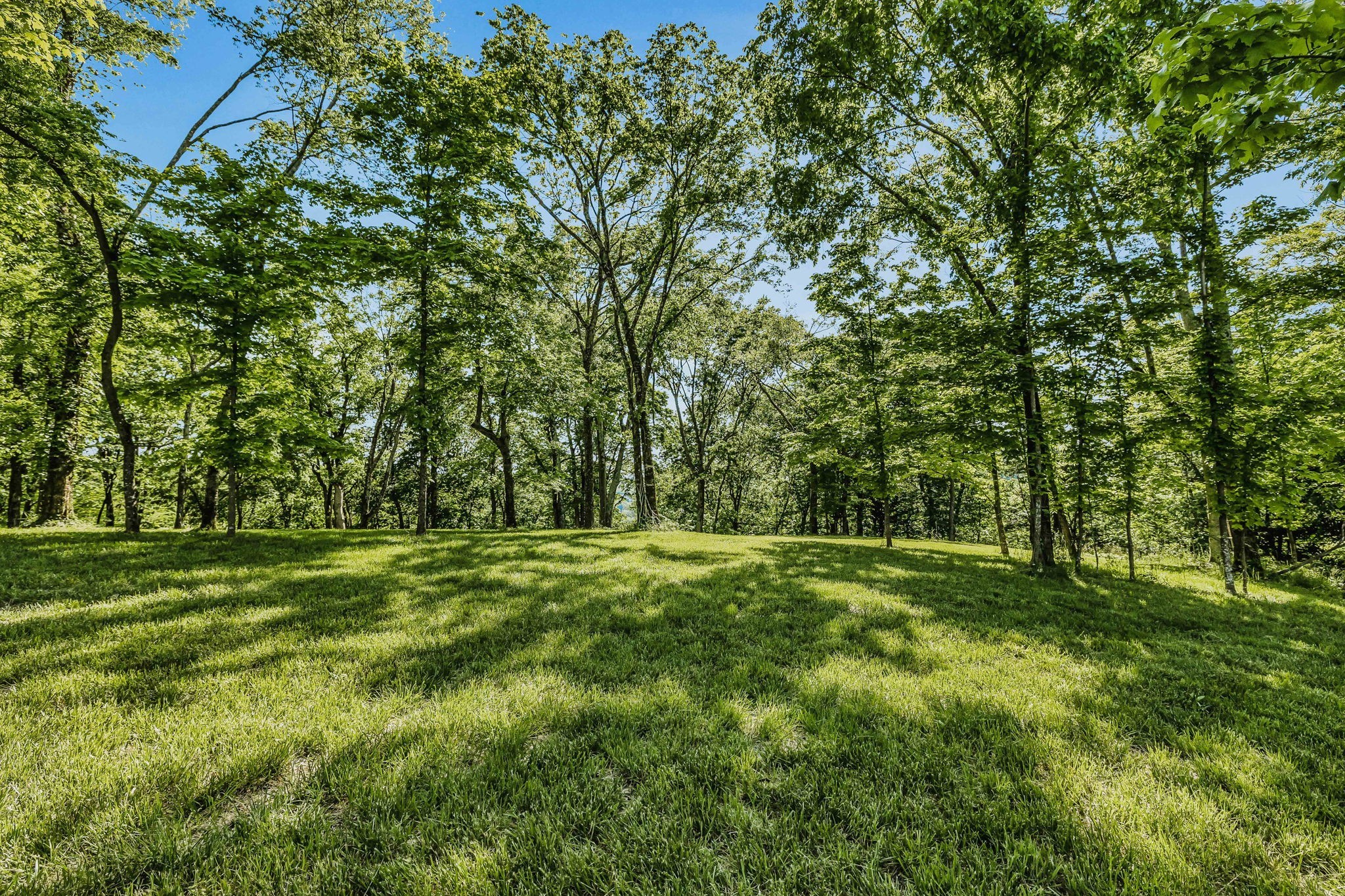 Middle Tennessee Properties 3 0 Burke Hollow Road Tract 1