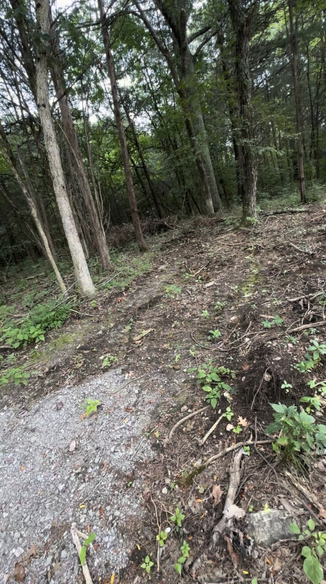 6468 Arno College Grove Rd