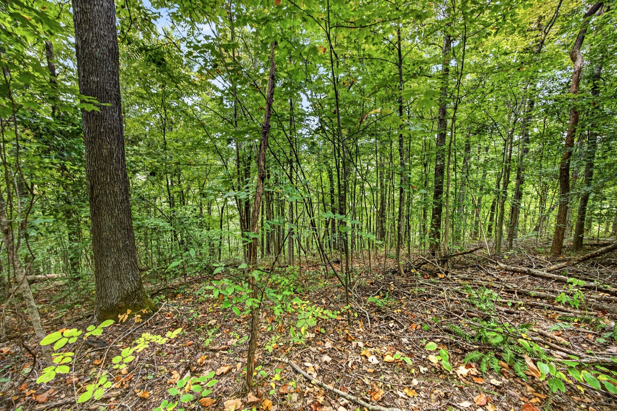 0 Timber Ridge Lane