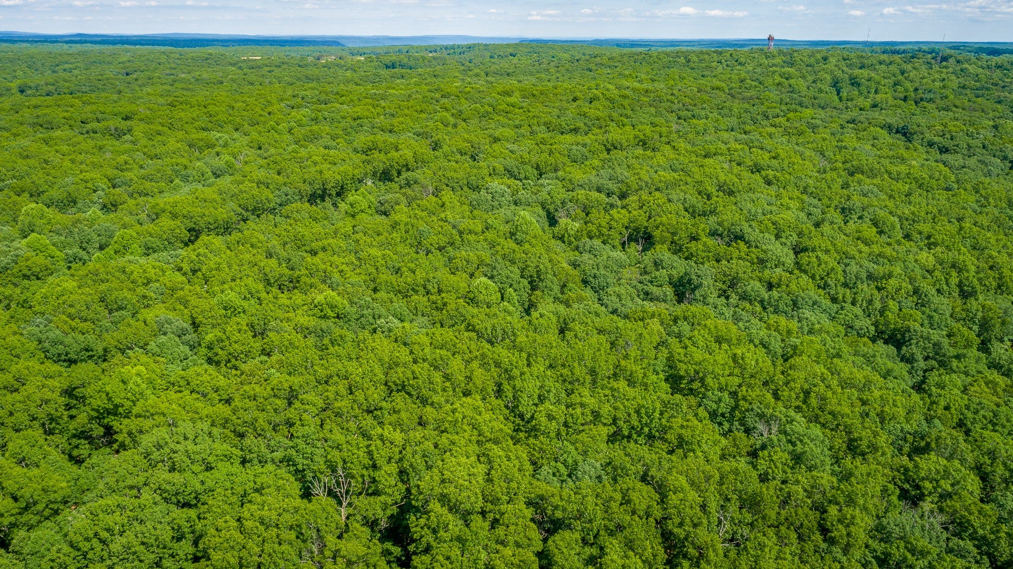0 Deep Woods Road