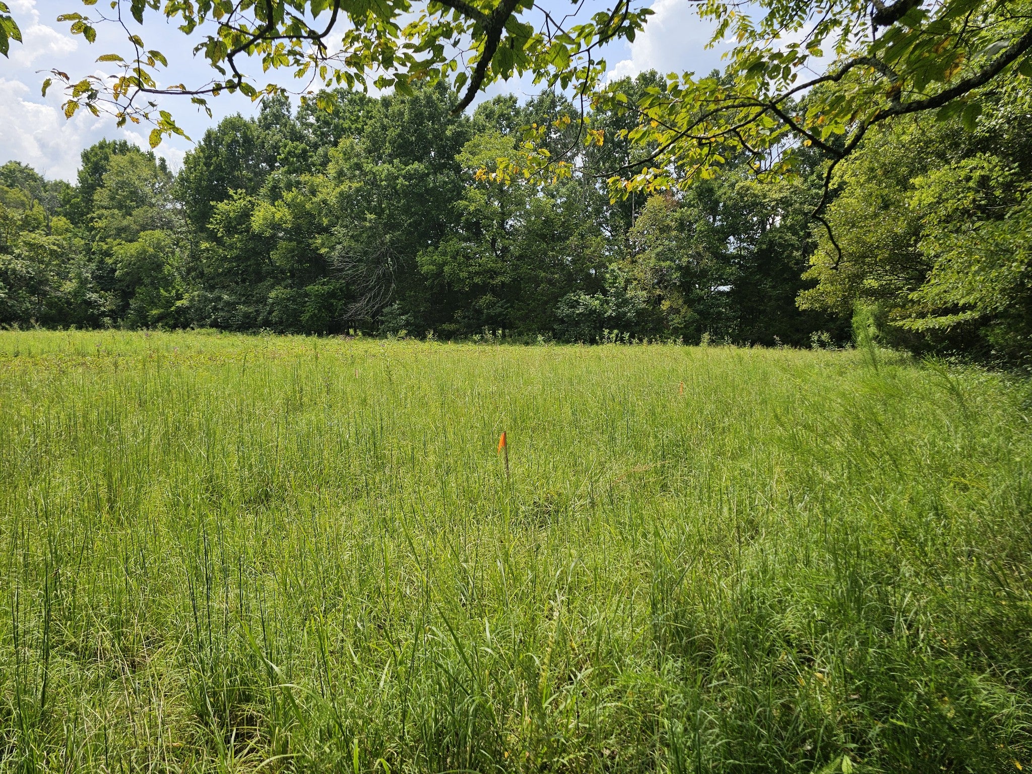 0 Whitfield Hollow Road