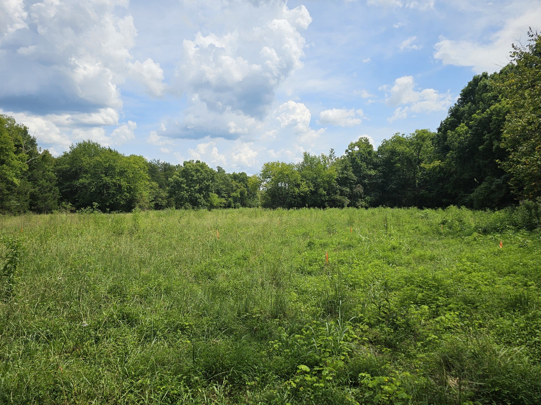 0 Whitfield Hollow Road