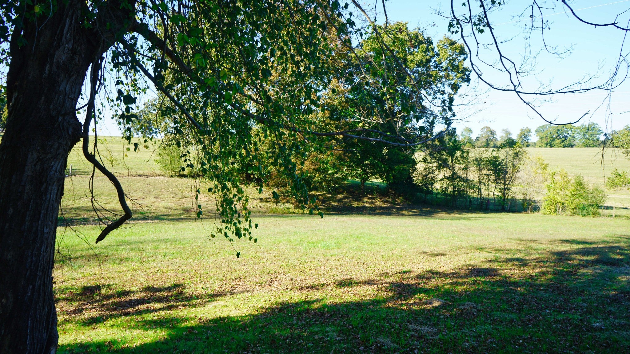 1727 Highway 49 E