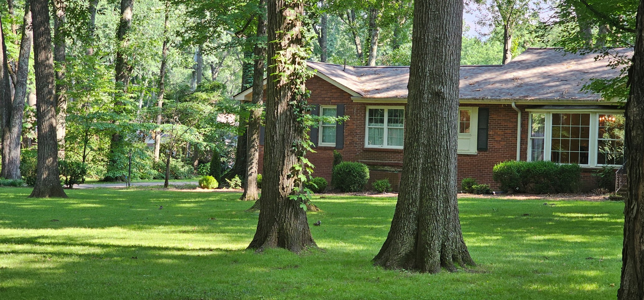 315 Gun Club Rd
