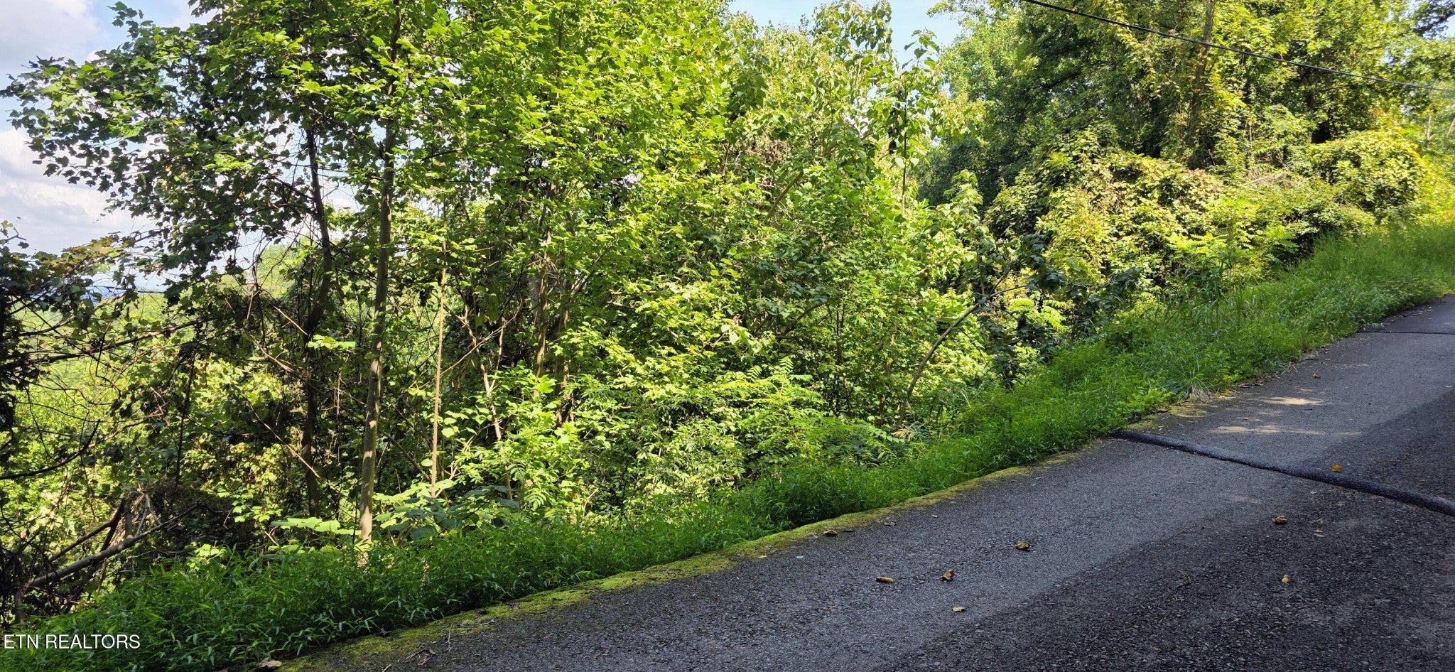 28 Sugar Maple Loop Rd