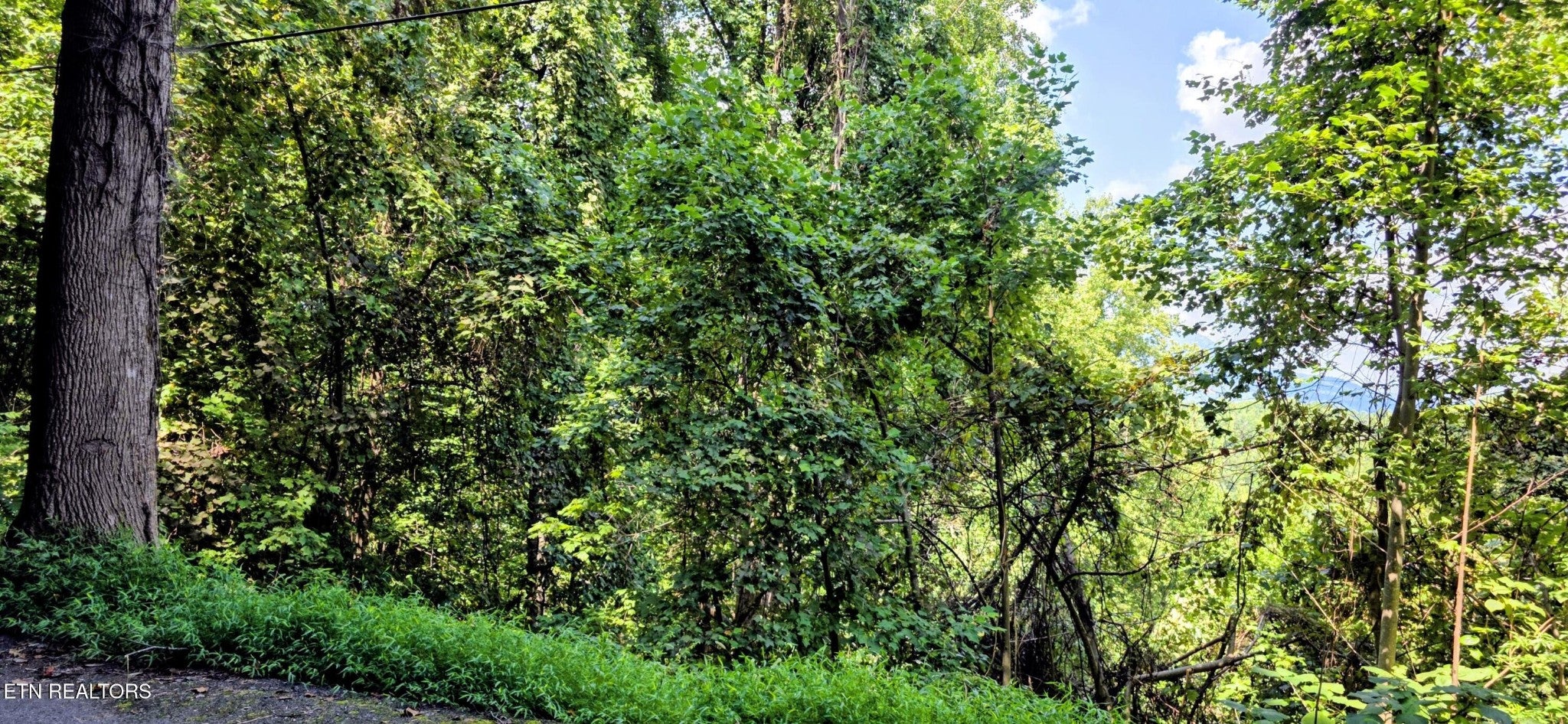 28 Sugar Maple Loop Rd