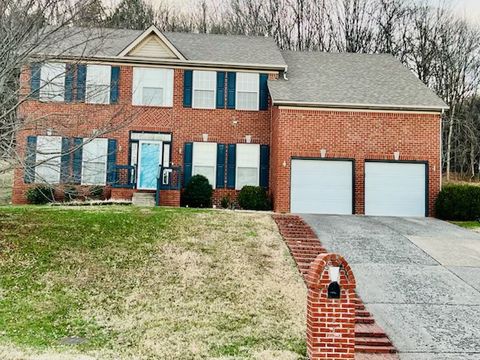 Photo of 4732 Indian Summer Dr, Nashville, TN 37207 (MLS # 3130690)