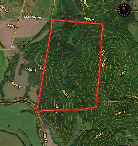 800 Nelson Rd Pulaski TN 38478