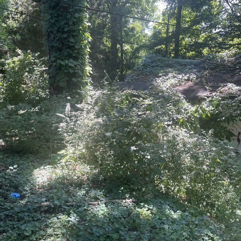 0 Shelby Clarksville TN 37042