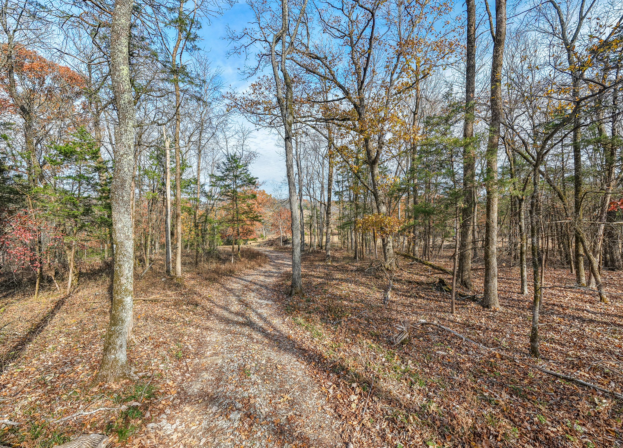 1511 Belotes Ferry Rd