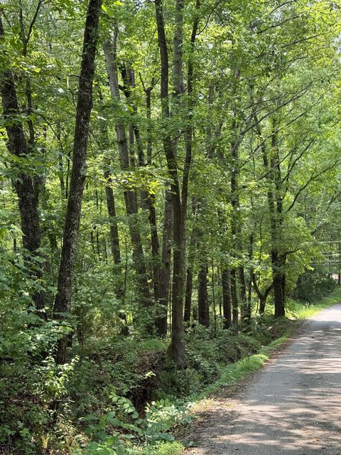 0 Webb Rd Ext Summertown TN 38483