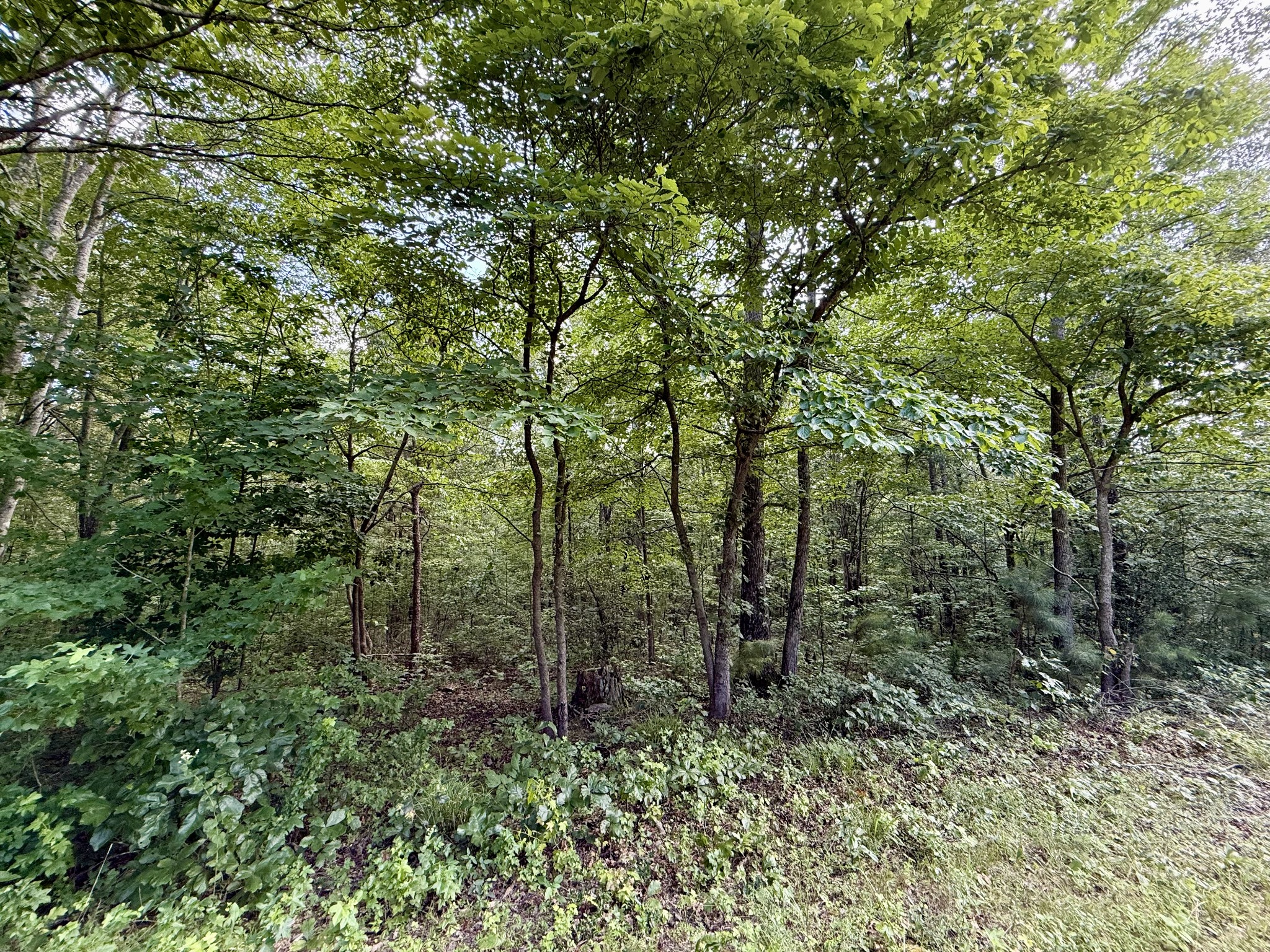 0 Webb Rd Ext