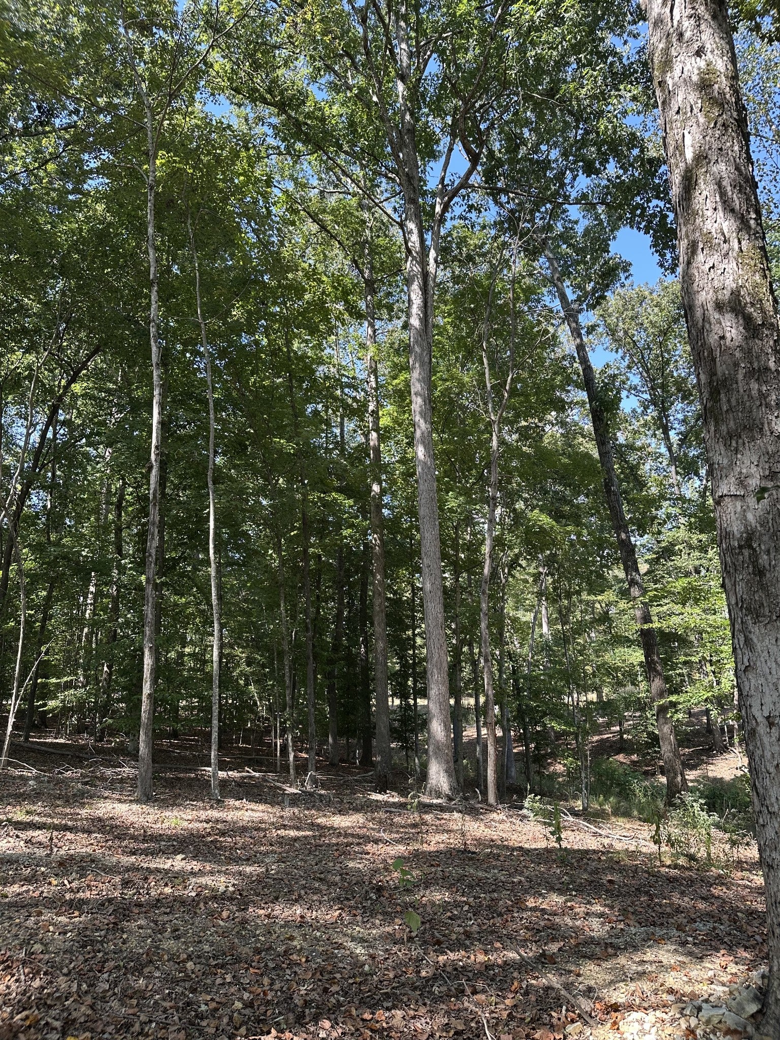 33 Heron Point