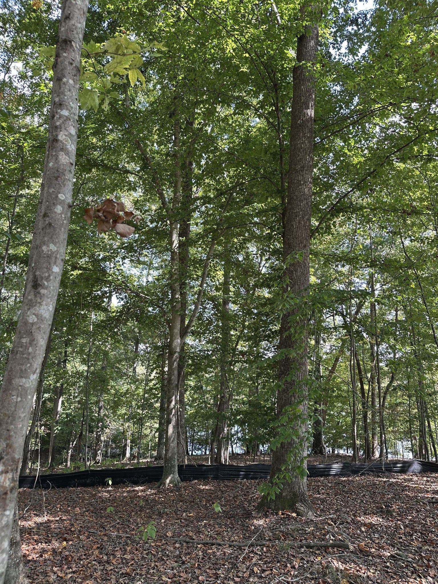 33 Heron Point