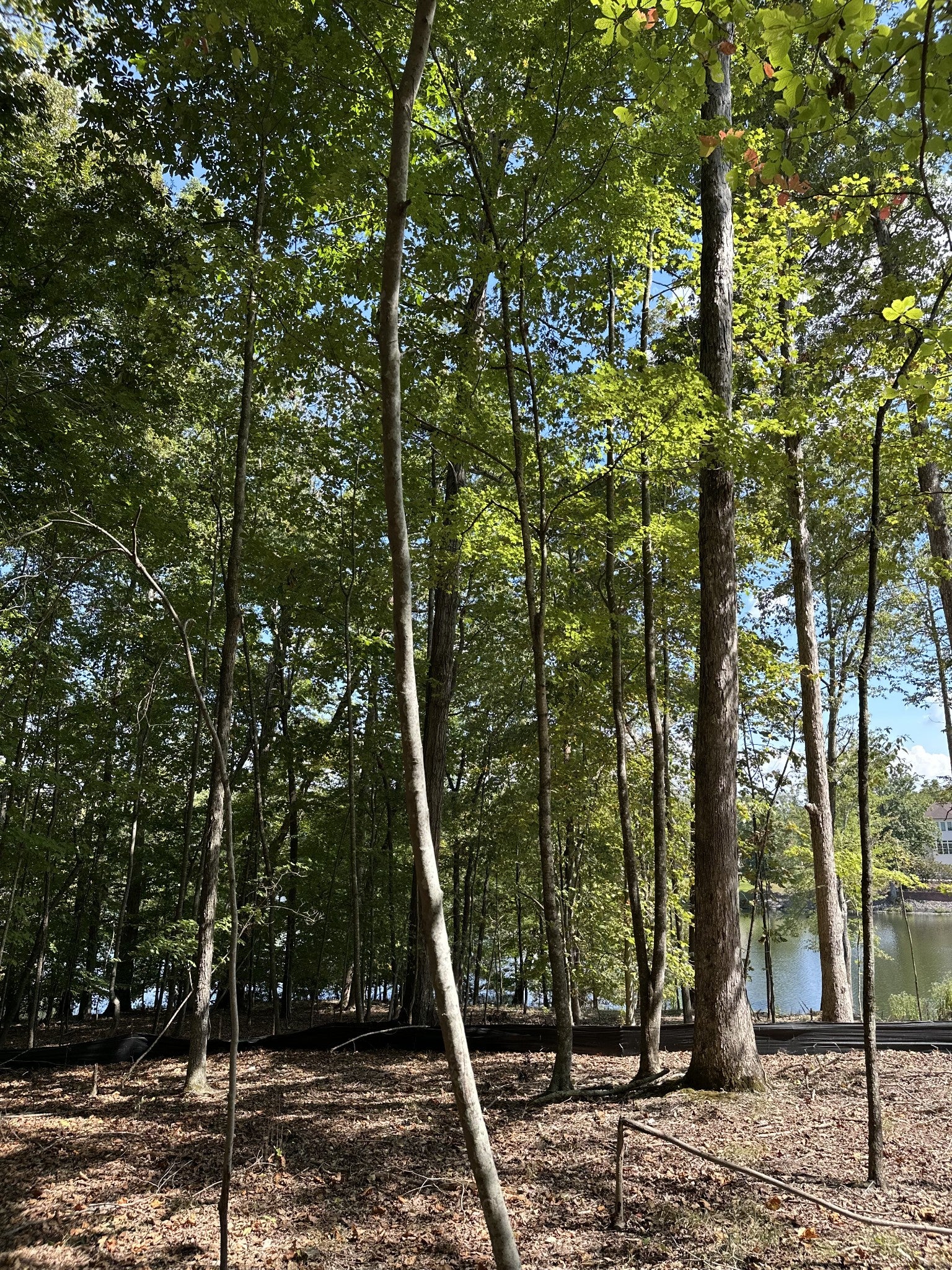 33 Heron Point