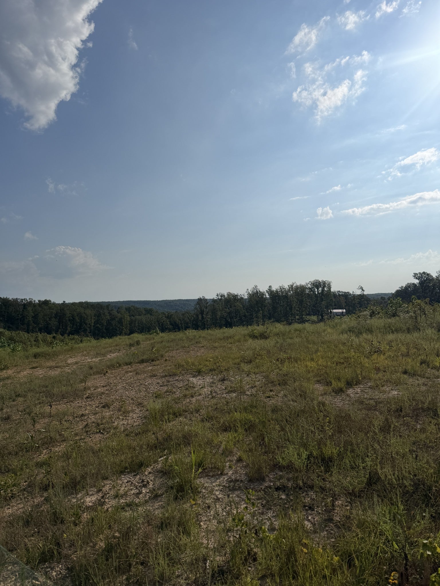 1 Springer Rd