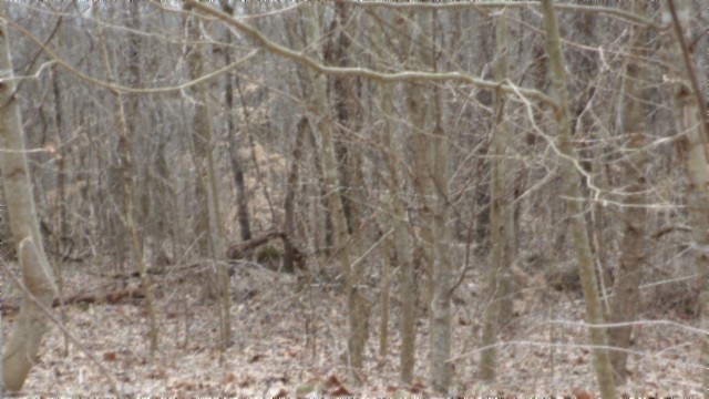 0 Beaver Lane