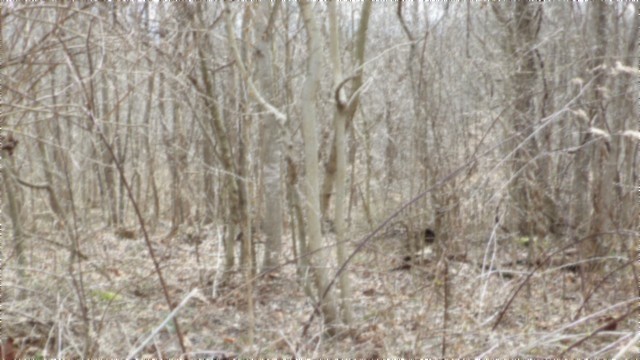 0 Beaver Lane