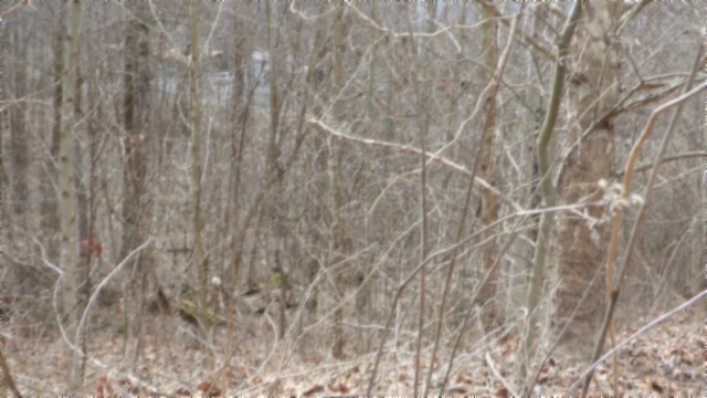 0 Beaver Lane