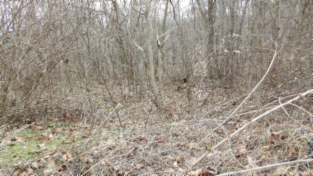 0 Beaver Lane