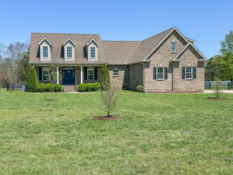 7540 Joe Rowlin Rd, Christiana, TN 37037 - MLS#: 2819814