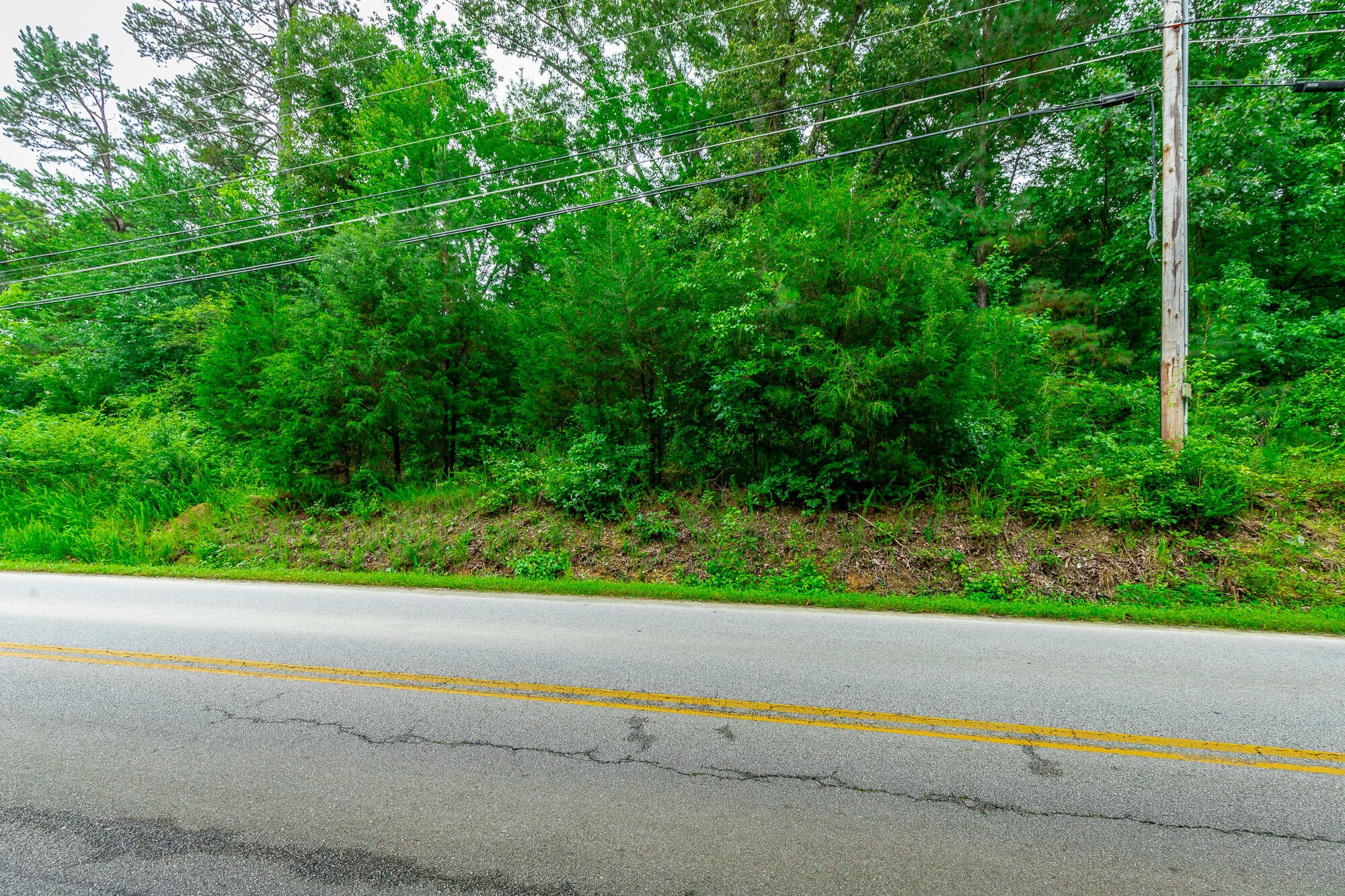 7441 Short Tail Springs Road