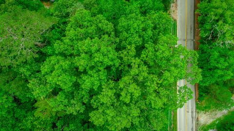 7441 Short Tail Springs Road Harrison TN 37341