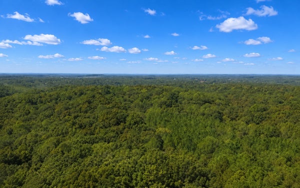 138 VAUGHN RD, CHARLOTTE, TN 37036 - Image 92d6c2a07fcf4b5e0511fa31d51ae7be/1552414151