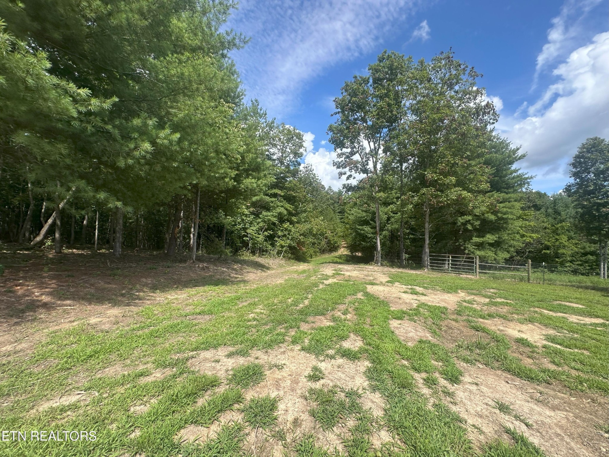 216 Valerie Drive